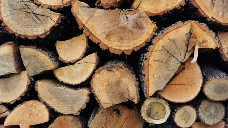 Sekuestrohen 19 m³ dru të prerë ilegalisht