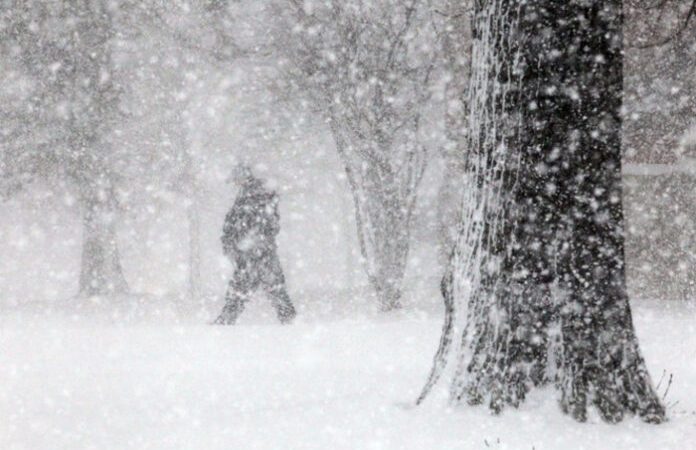 Besoni ose jo? Po vjen bora në Maqedoni, ja detajet