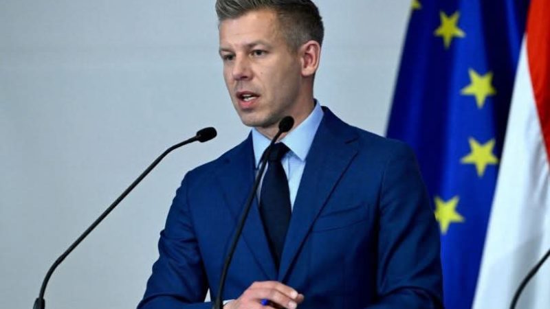 Kunati i Peter Magyar tërhiqet nga posti i ministrit të Drejtësisë pas akuzave për nepotizëm