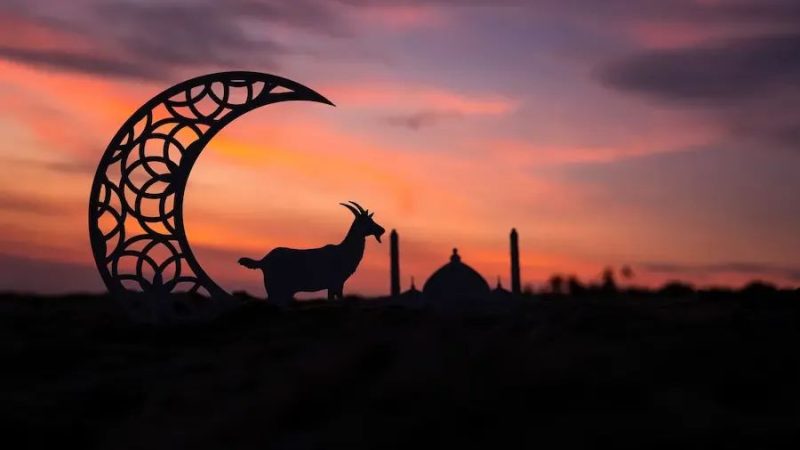 Historiku i Kurban Bajramit, festa e sakrificës dhe besimit në besimin islam