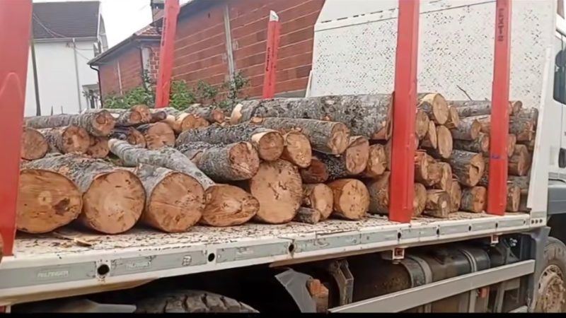 Aksion i madh në Haraçinë, konfiskohet sasi e madhe drush të vjedhura për ngrohje