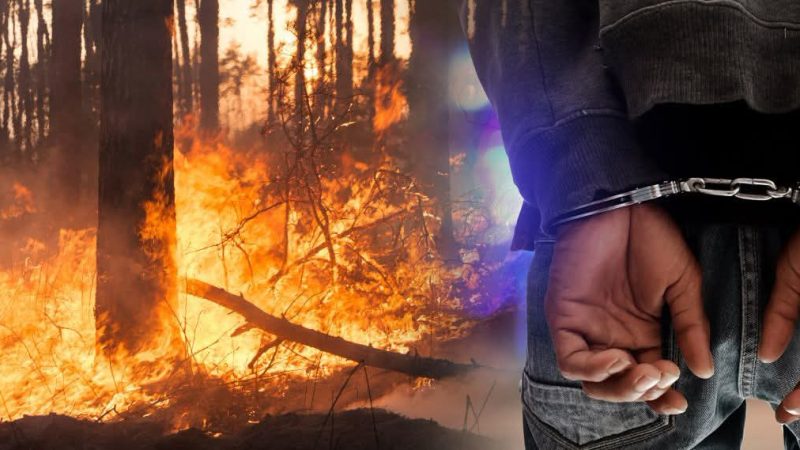 Dyshohet se shkaktoj zjarrvënie të qëllimshme, bie në pranga 55 vjeçari nga Tearca