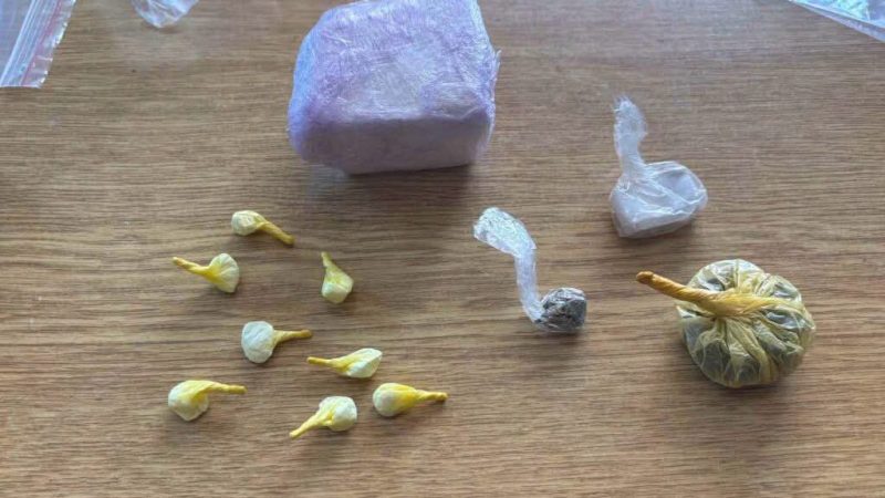 Bastisje, gjenden mbi 160 gramë kok’ainë, hashash dhe marihuanë, të fshehura në lavatriçe