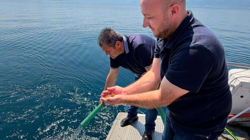 Nisi lëshimi i troftës së Ohrit, Hoxha: 100 mijë tani, 1.5 milionë në shtator