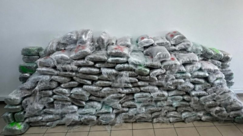 Aksion ndërkombëtar i Maqedonisë, Kosovës dhe Greqisë: Shkatërrohet grupi kriminal, konfiskohen 300 kg marihuanë