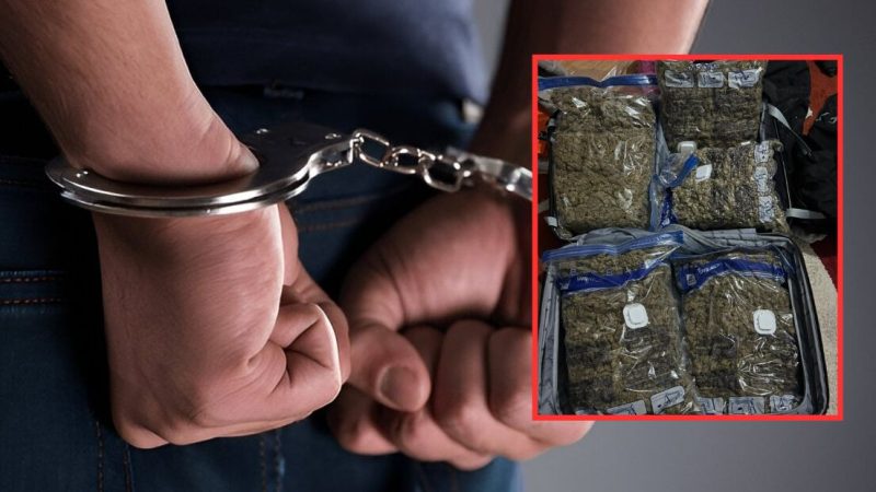 Tre të rinj nga Xhepçishti arrestohen me marihuanë, ja detajet