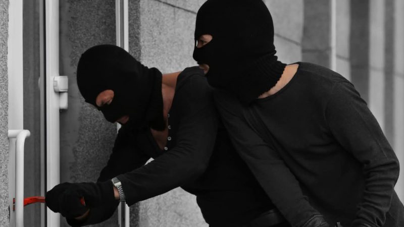 Policia e Tetovës i zbardhë dy vjedhje, ja detajet
