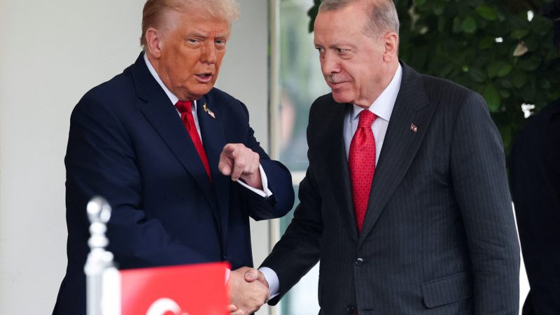Trump për Erdoganin: Nuk duhet të ngatërroheni me të, është i fortë