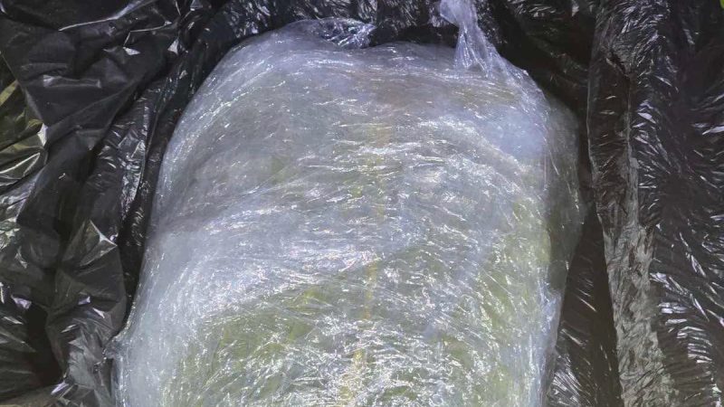 Task Force: Arrestohet një 40-vjeçar pranë Qafë Thanës, kapet me rreth një kilogram marihuanë